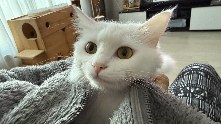 날이 추워지면 할수있는 것_1.jpg