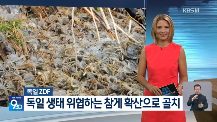 참게의 침공을 받는 독일_1.jpg