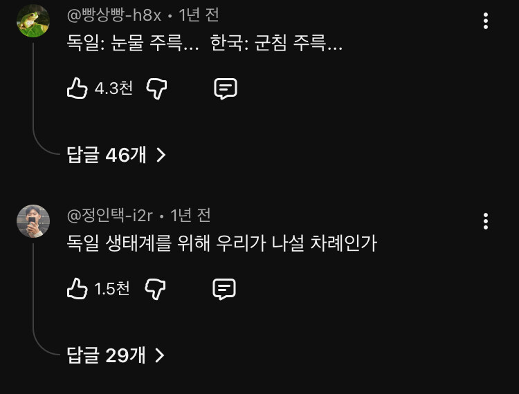 참게의 침공을 받는 독일_4.jpg