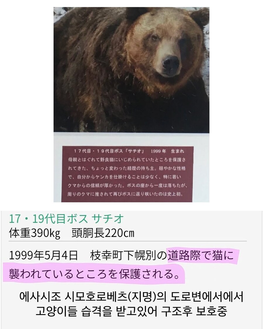 훗카이도 목장 곰의 프로필.jpg_2.jpg