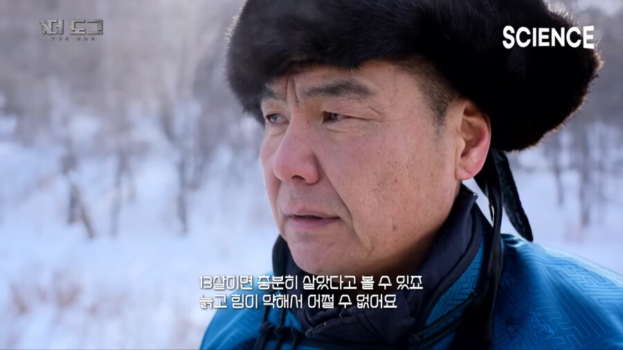 몽골 유목민의 반려견과 이별하는법_3.png
