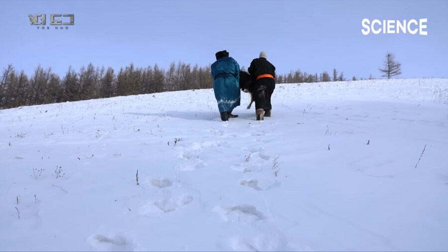 몽골 유목민의 반려견과 이별하는법_7.png