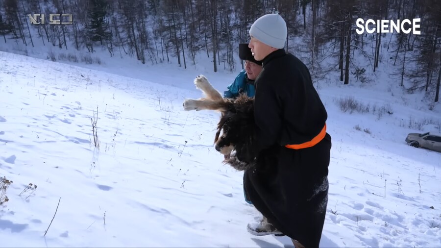 몽골 유목민의 반려견과 이별하는법_8.png