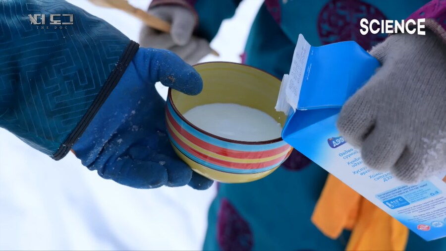 몽골 유목민의 반려견과 이별하는법_9.png