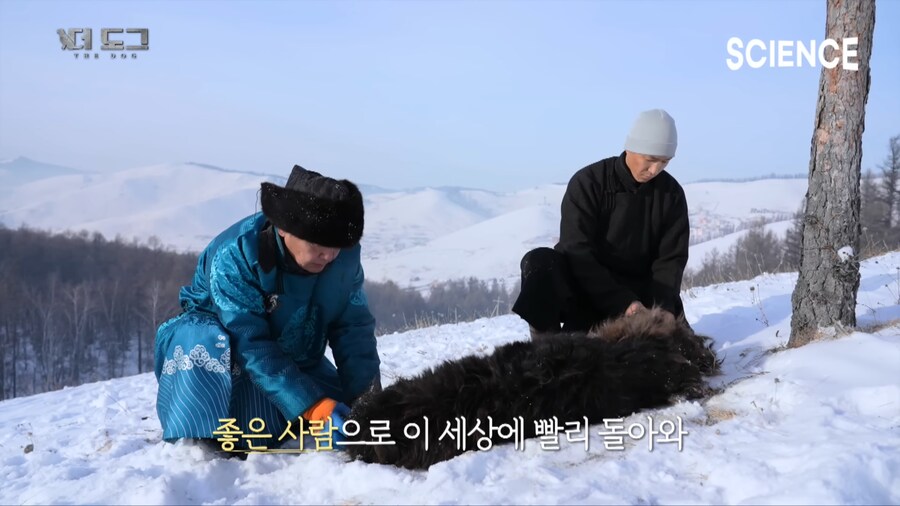 몽골 유목민의 반려견과 이별하는법_15.png
