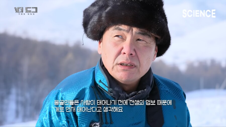 몽골 유목민의 반려견과 이별하는법_21.png