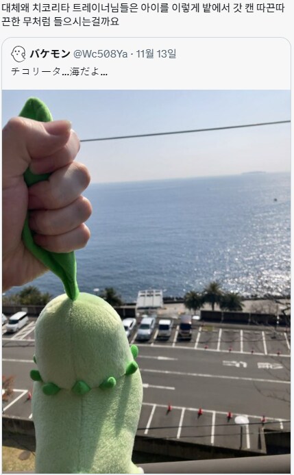 이상하다는 포켓몬 트레이너_1.png