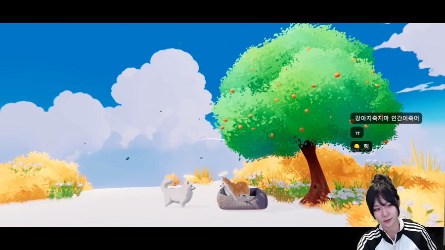 강아지 키우는 사람은 클리어 하기 힘든 게임.jpg_3.png