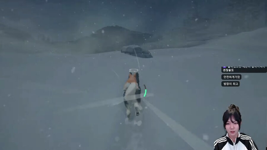 강아지 키우는 사람은 클리어 하기 힘든 게임.jpg_9.png