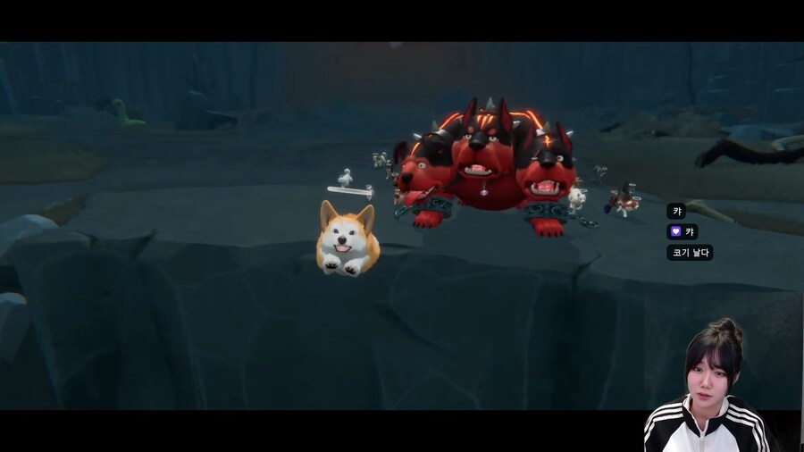 강아지 키우는 사람은 클리어 하기 힘든 게임.jpg_17.png