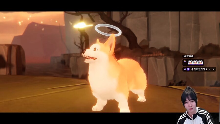 강아지 키우는 사람은 클리어 하기 힘든 게임.jpg_20.png