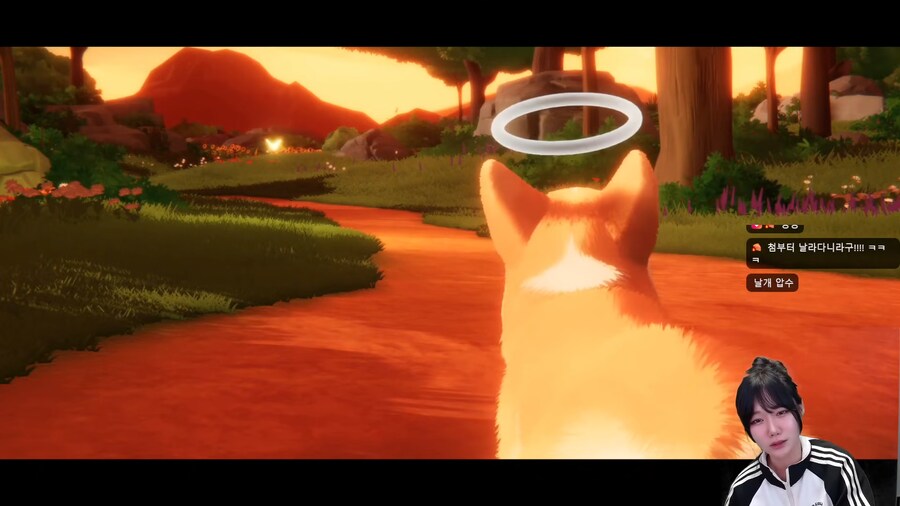 강아지 키우는 사람은 클리어 하기 힘든 게임.jpg_21.png