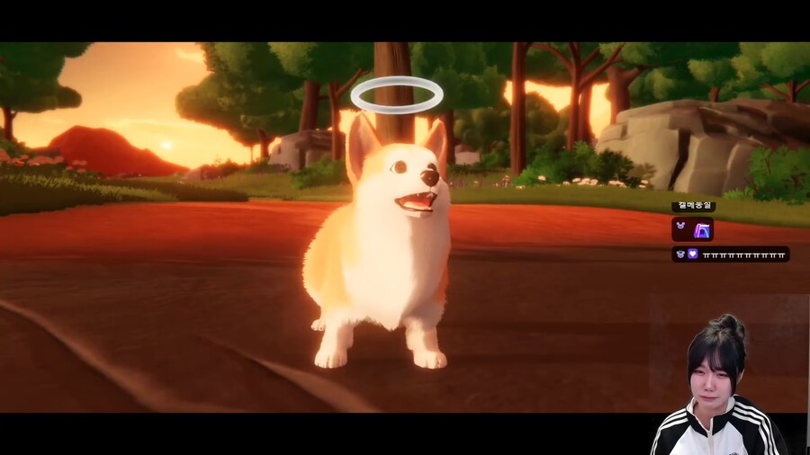 강아지 키우는 사람은 클리어 하기 힘든 게임.jpg_22.png