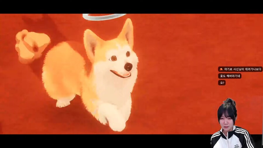 강아지 키우는 사람은 클리어 하기 힘든 게임.jpg_26.png