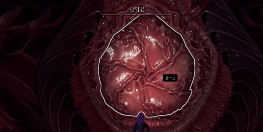 발더스게이트3 처음 하게 되면 겪게되는거_1.png