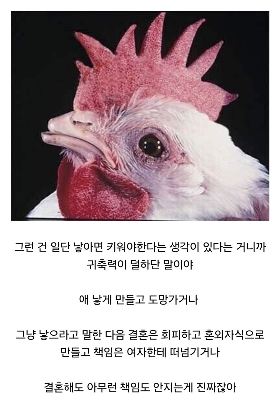 솔직히 남자가 여자한테 애 지우라고 하는거 별로임.jpg_1.jpg