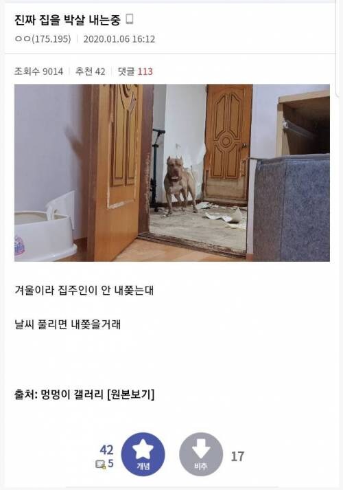 진짜 집을 박살내는 중.jpg_1.jpg