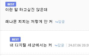 원래 레나몬 가슴은 안커 ←멍청한 소리인 이유_2.jpg