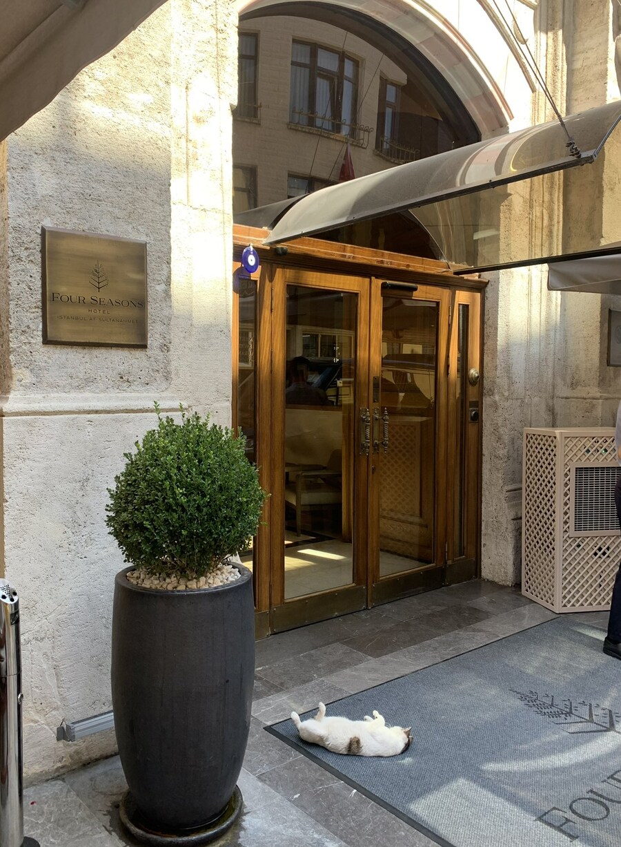 호텔 앞에 드러누운 손님.jpg_1.jpg