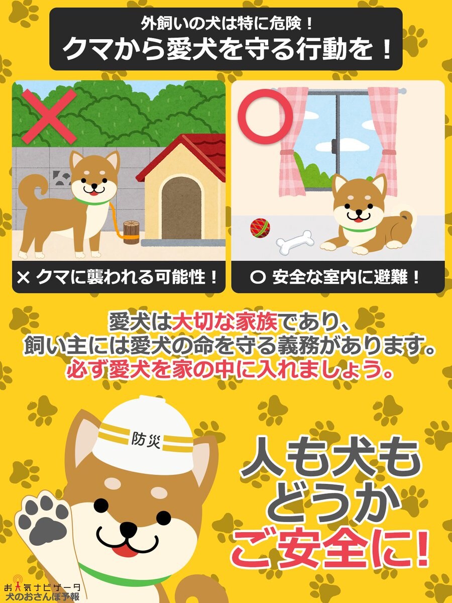 일본에서 개를 집안에서 키우라고함_1.jpg