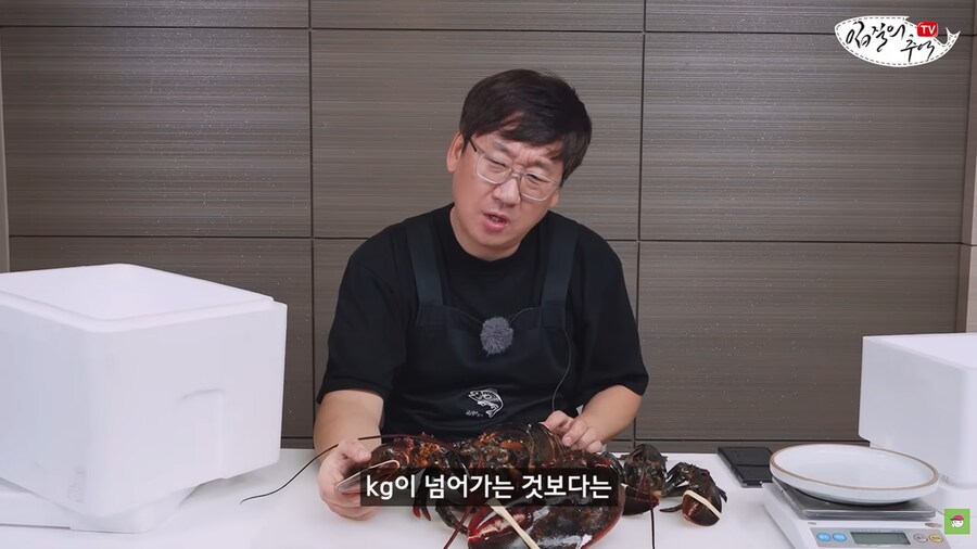 수산물 전문가가 알려주는 랍스터 구매 팁.jpg_14.png