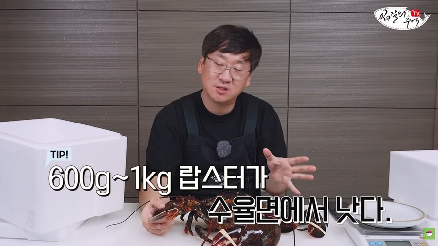 수산물 전문가가 알려주는 랍스터 구매 팁.jpg_15.png
