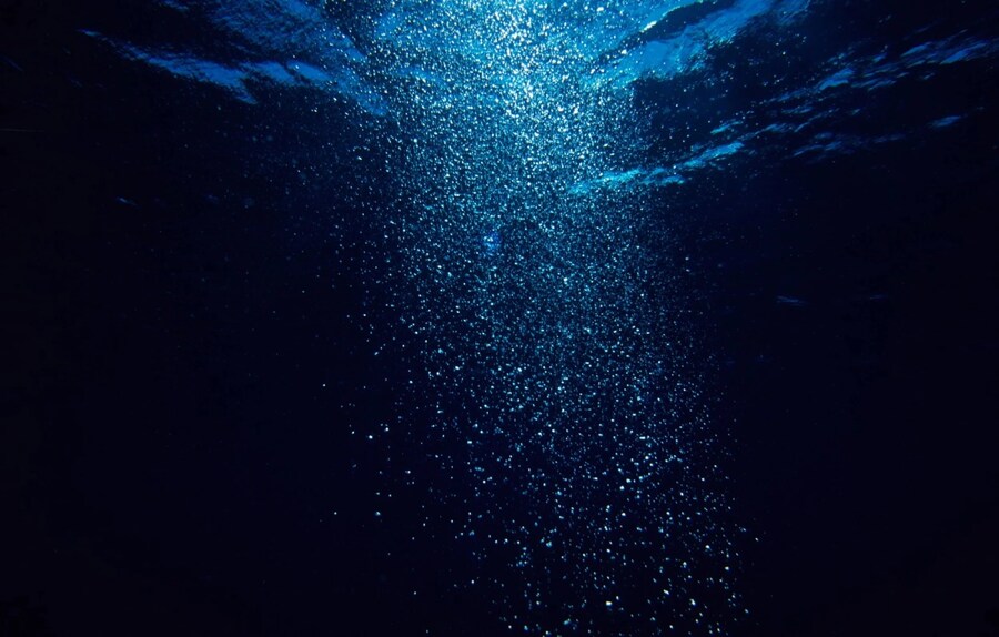 어쩌면 제일 비참한 종류의 망작_4.png