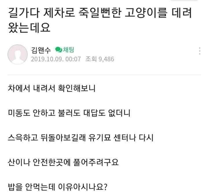 고양이가 밥을 안먹어요.jpg_1.jpg