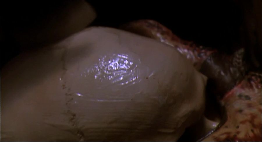 프레데터가 수집하는것_3.jpg