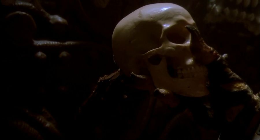 프레데터가 수집하는것_4.jpg