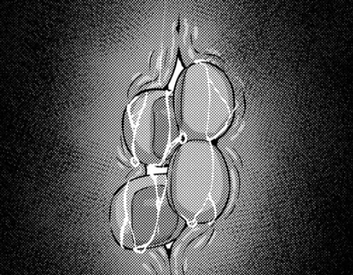 활짝 여는 짤_1.png