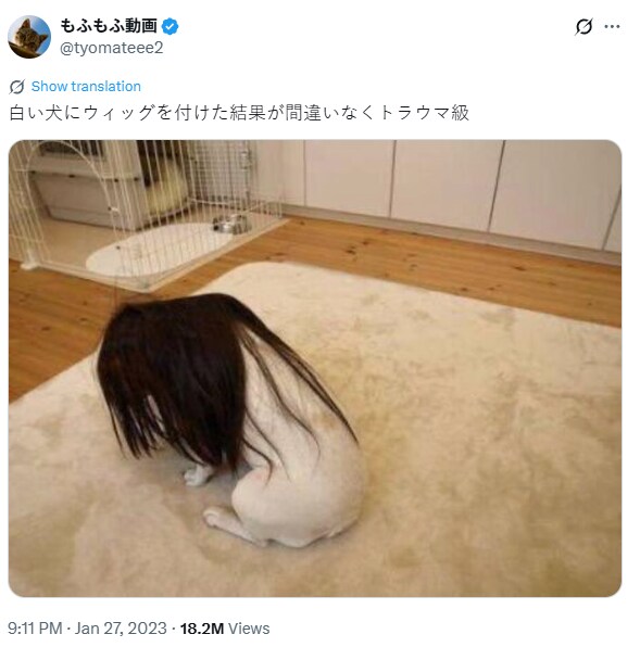 일본어를 몰라도 대충 이해가 되는 트윗_1.png