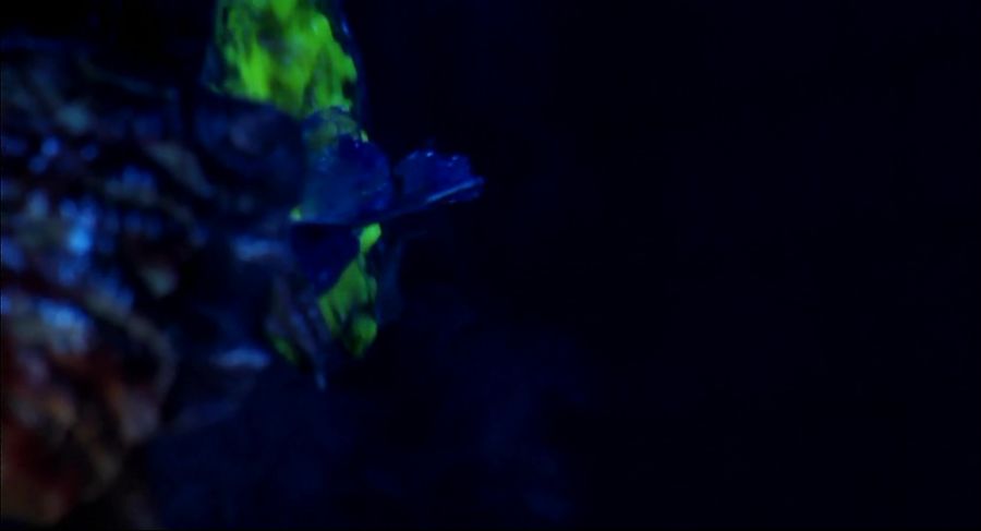 프레데터의 치료 기구_7.jpg