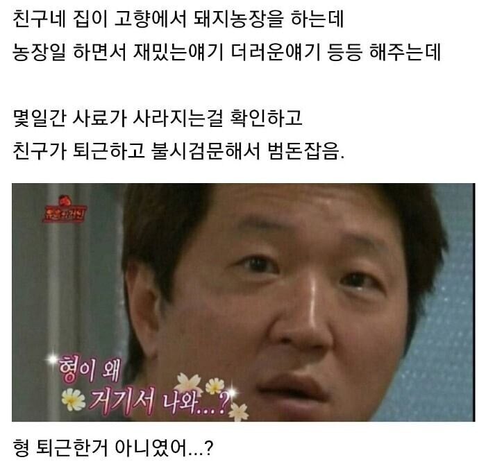밤에 몰래 먹고있는 돼지 있음?_3.jpg