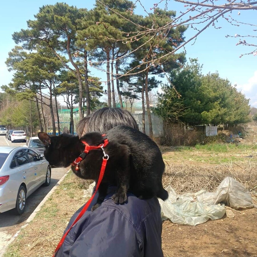 이시간에는 이런거 올리는게 맞겠지?_1.jpg