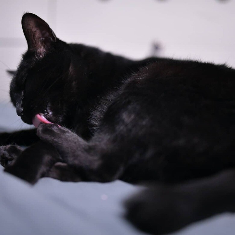 이시간에는 이런거 올리는게 맞겠지?_6.jpg