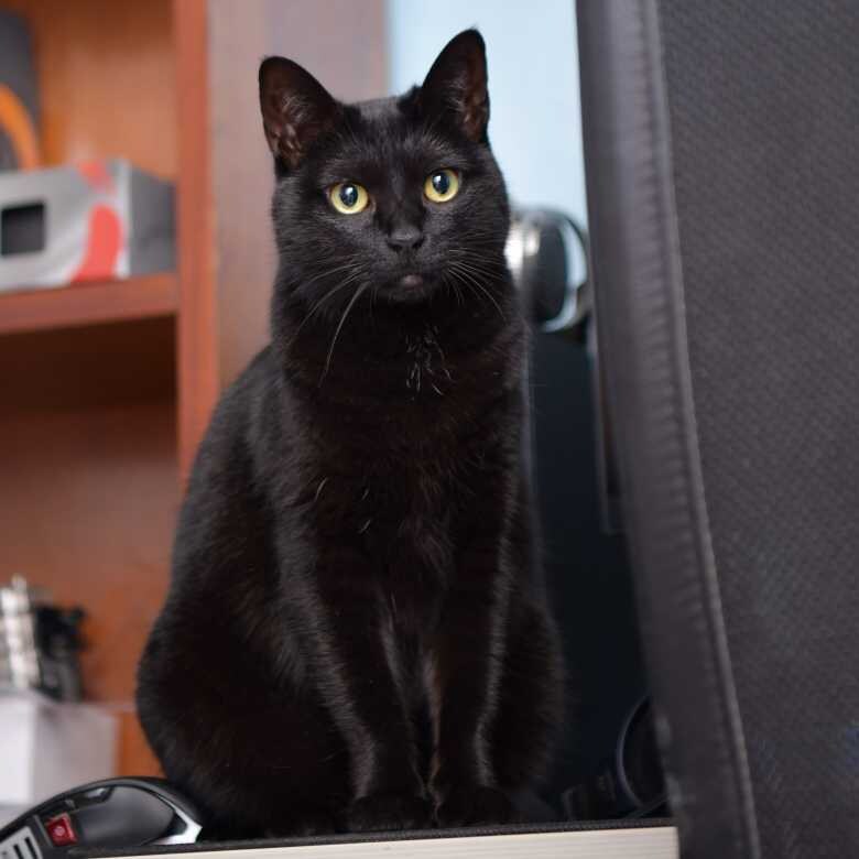 이시간에는 이런거 올리는게 맞겠지?_9.jpg