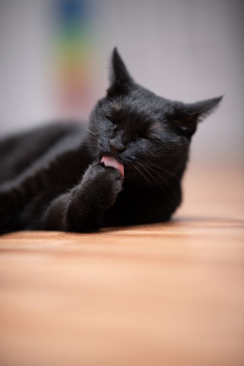 이시간에는 이런거 올리는게 맞겠지?_10.jpg