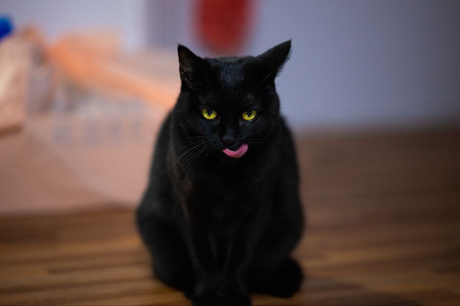 이시간에는 이런거 올리는게 맞겠지?_11.jpg