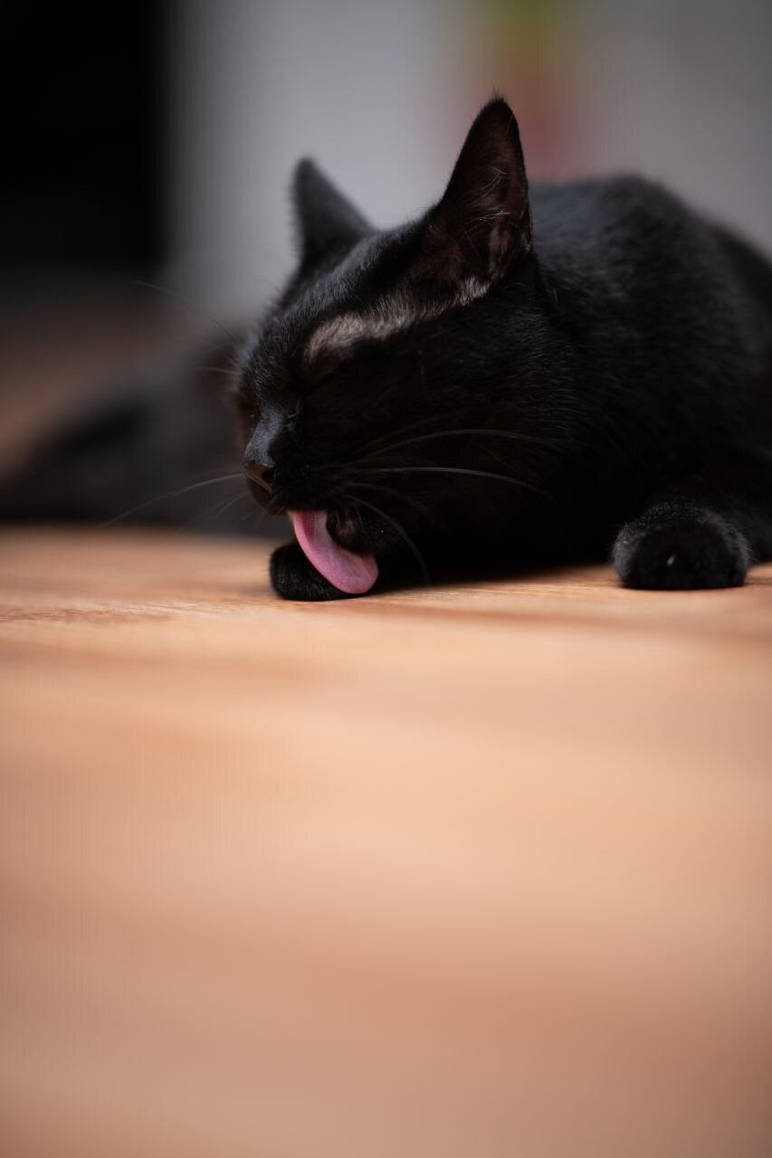 이시간에는 이런거 올리는게 맞겠지?_12.jpg