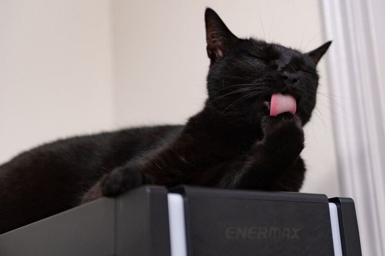 이시간에는 이런거 올리는게 맞겠지?_13.jpg