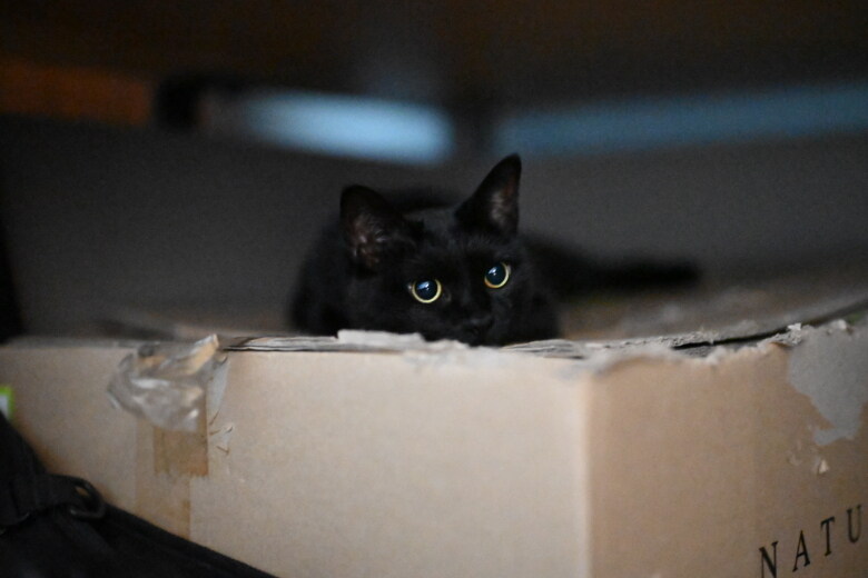 이시간에는 이런거 올리는게 맞겠지?_15.jpg