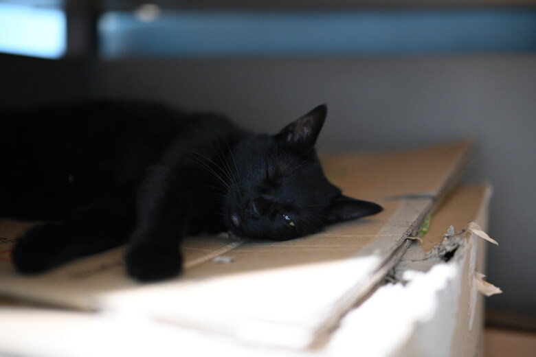 이시간에는 이런거 올리는게 맞겠지?_16.jpg