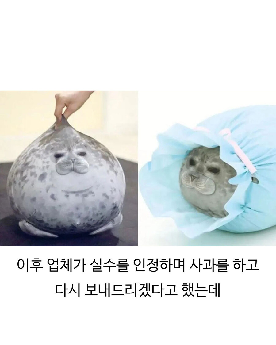 업체가 실수 사과했지만 소비자들은 만족_3.jpg