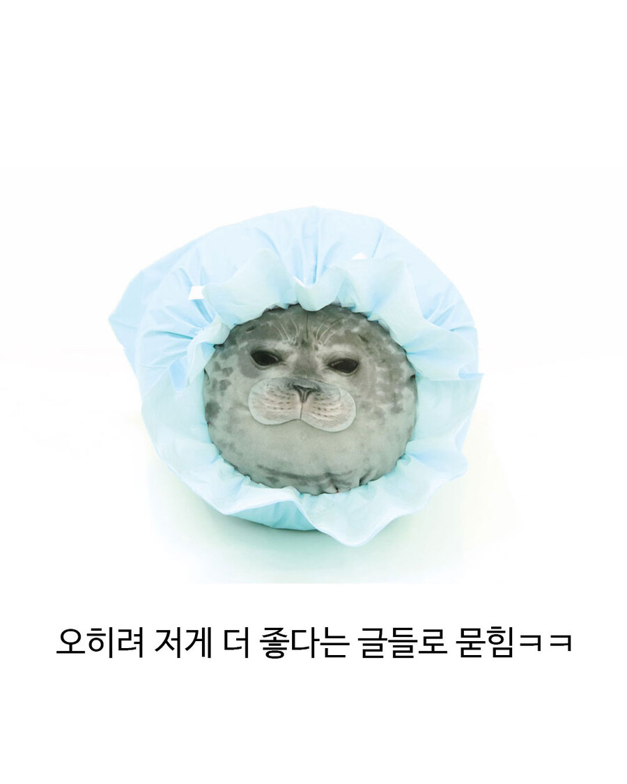 업체가 실수 사과했지만 소비자들은 만족_4.jpg