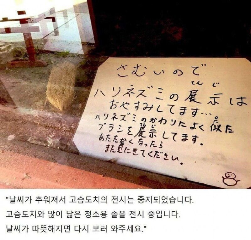 겨울잠 자는 고슴도치의 대체품.jpg_1.jpg