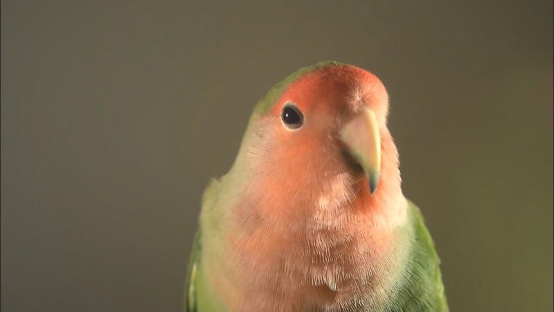 운동기구 사용시 지켜야하는 규칙_15.jpg