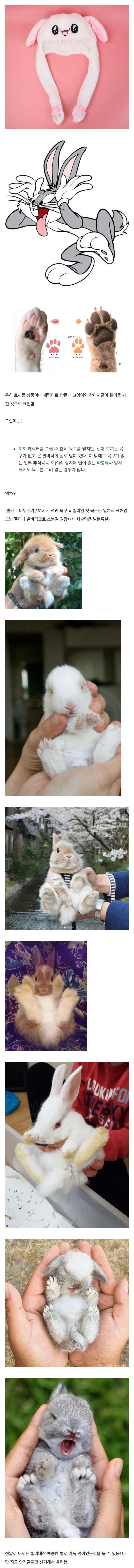 의외로 토끼 발바닥에 없는 것_1.jpg