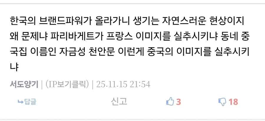 중국이 짝퉁 한국브랜드 운영하는게 뭐가 문제냐_1.jpg