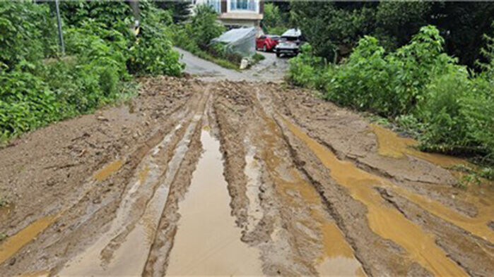 시골 비포장 도로는 아름다움이 아니라 족쇄다_3.jpg